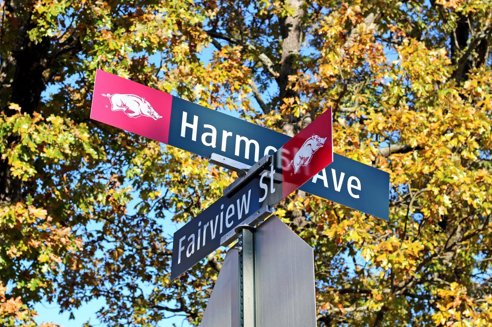 Several Campus Signs Damaged, Stolen